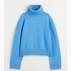H&M Oversized Turtleneck Sweater